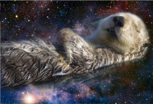 space otters