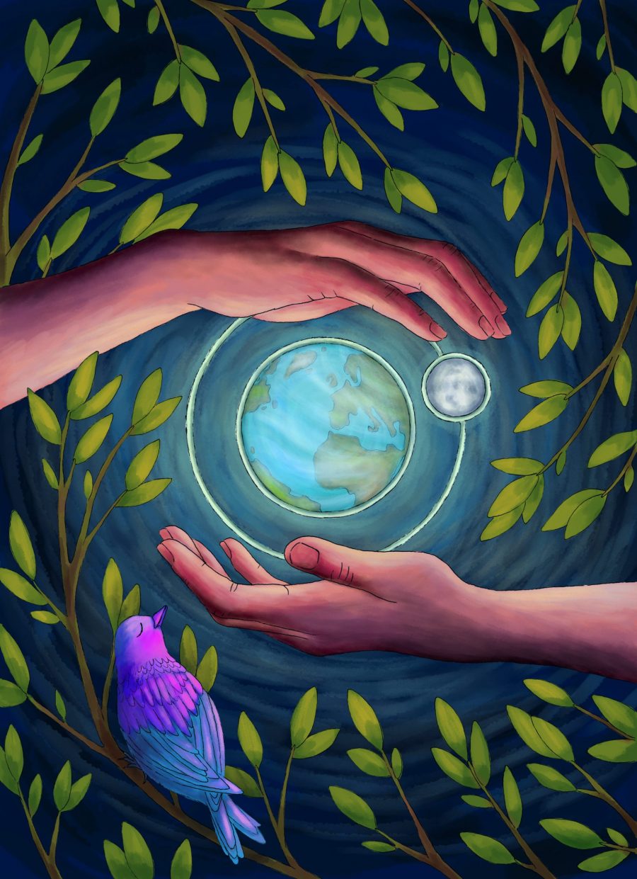 Discover your own earth energy connection - Jane Alexander